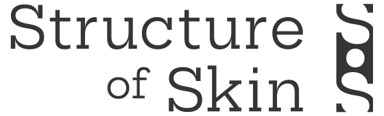Structure Of Skin